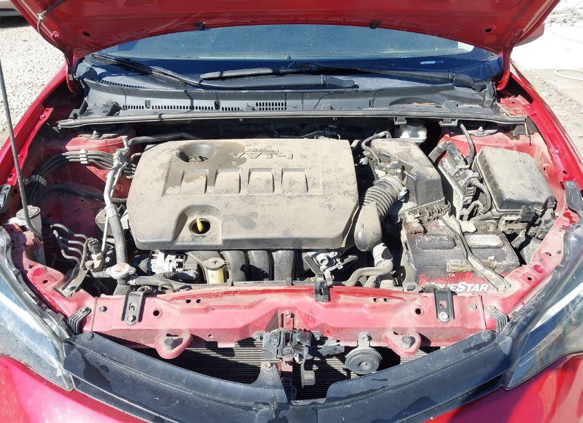 Photo 10 of 2019 Toyota Corolla LE (VIN 2T1BURHE3KC201269)