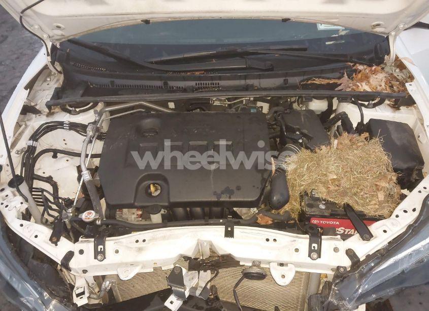 Photo 10 of 2018 Toyota Corolla LE (VIN 2T1BURHE4JC087300)