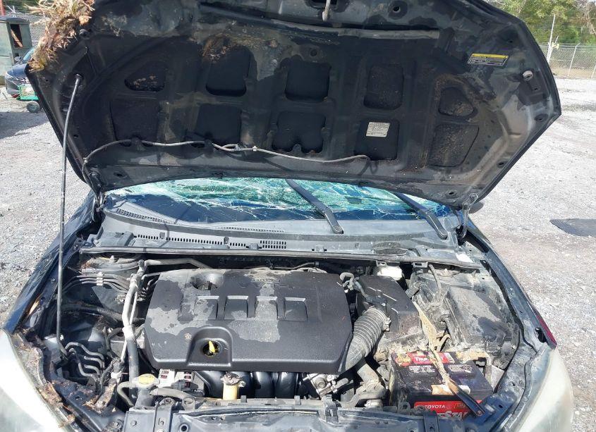 Photo 10 of 2016 Toyota Corolla S PLUS (VIN 2T1BURHE7GC616196)