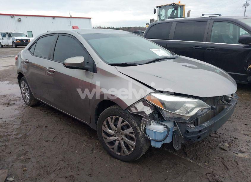 2014 Toyota Corolla LE (VIN 2T1BURHEXEC127952) main photo