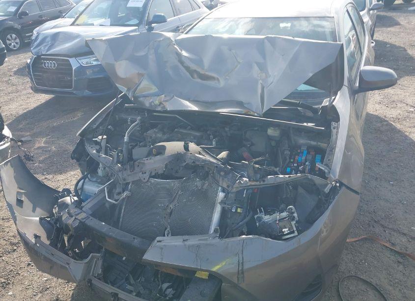 Photo 6 of 2018 Toyota Corolla LE (VIN 2T1BURHEXJC996481)