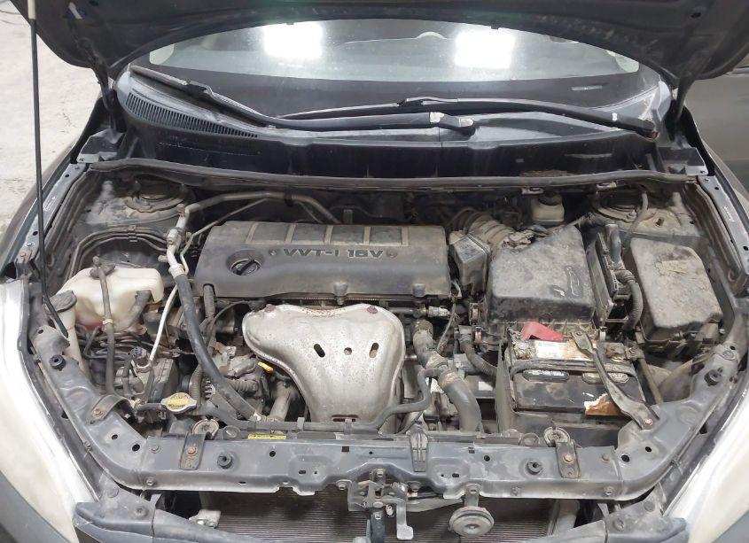 Photo 10 of 2009 Toyota Matrix S (VIN 2T1KE40EX9C006078)