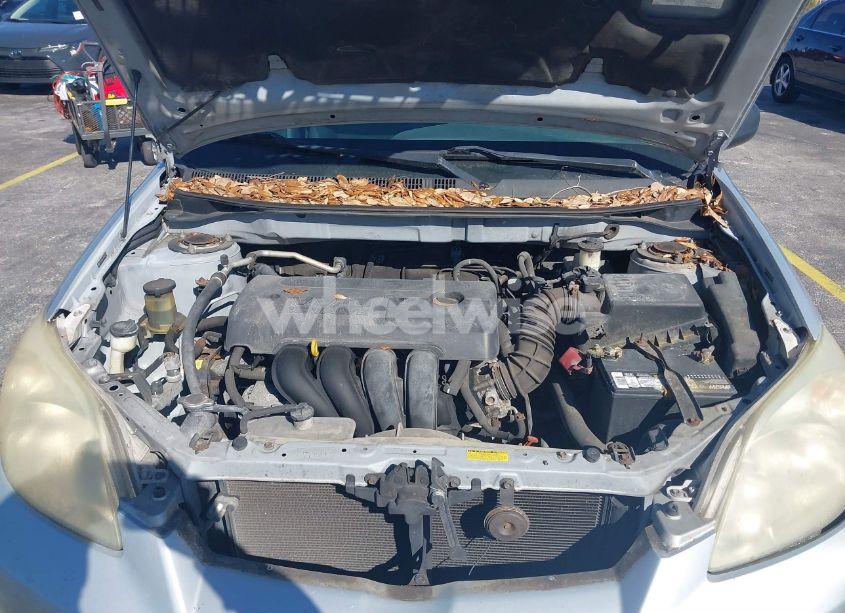 Photo 10 of 2006 Toyota Matrix (VIN 2T1KR32E26C602390)