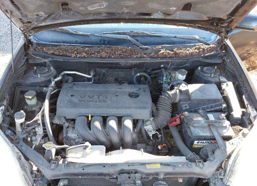 Photo 10 of 2005 Toyota Matrix XR (VIN 2T1KR32E45C350253)