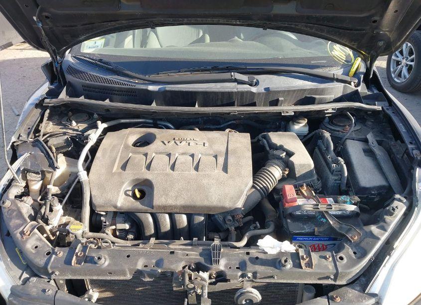 Photo 10 of 2009 Toyota Matrix (VIN 2T1KU40E09C061707)