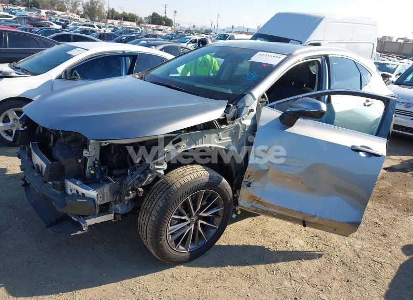 Photo 2 of 2024 Lexus Nx 250 (VIN 2T2ADCAZ1RC012342)