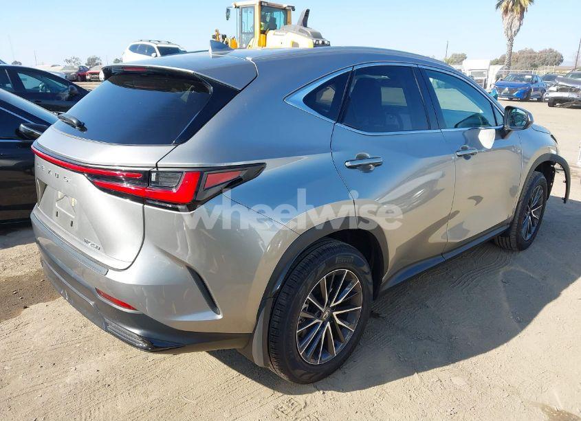 Photo 4 of 2024 Lexus Nx 250 (VIN 2T2ADCAZ1RC012342)