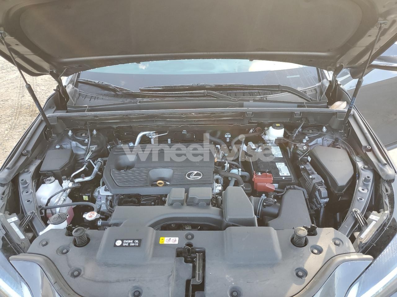 Photo 12 of 2024 LEXUS NX 250 BASE (VIN 2T2ADCAZ1RC012440)