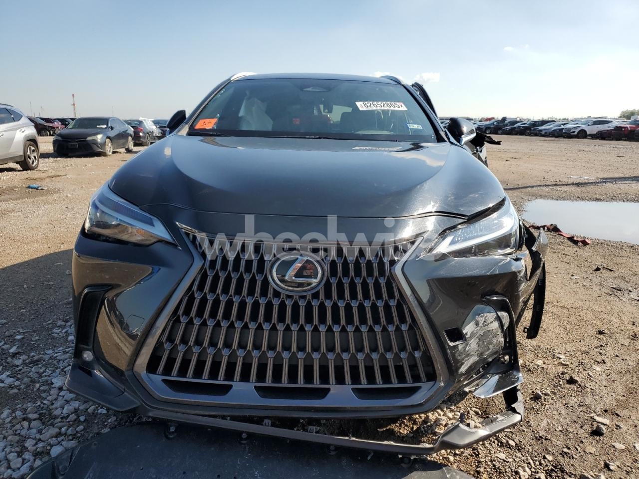 Photo 5 of 2024 LEXUS NX 250 BASE N/A (VIN 2T2ADCAZ6RC012921)