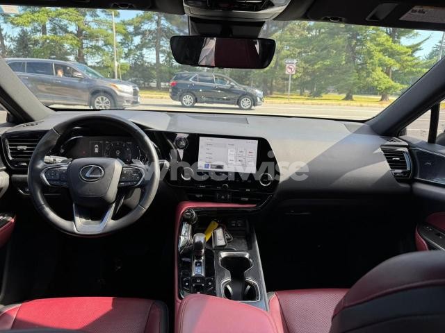 Photo 10 of 2022 LEXUS NX 250 N/A (VIN 2T2ADCAZ7NC001825)