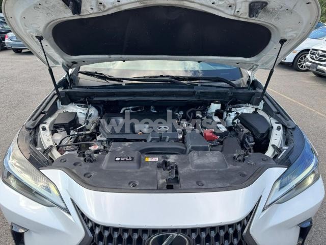 Photo 9 of 2022 LEXUS NX 250 N/A (VIN 2T2ADCAZ7NC001825)