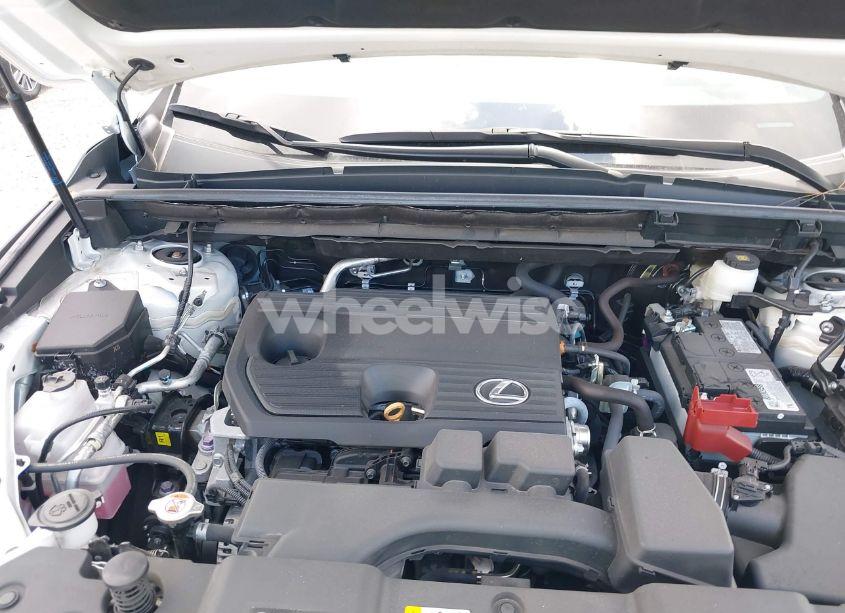 Photo 10 of 2024 Lexus Nx 250 (VIN 2T2ADCAZ9RC015022)