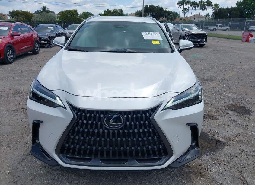 Photo 12 of 2024 Lexus Nx 250 (VIN 2T2ADCAZ9RC015022)