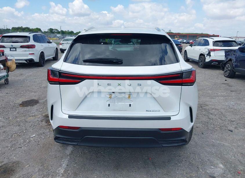 Photo 16 of 2024 Lexus Nx 250 (VIN 2T2ADCAZ9RC015022)