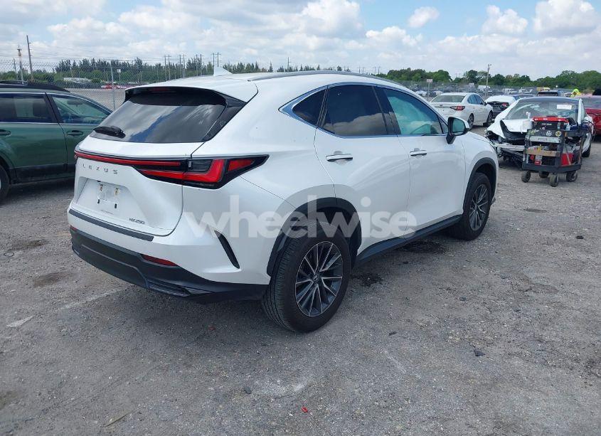 Photo 4 of 2024 Lexus Nx 250 (VIN 2T2ADCAZ9RC015022)