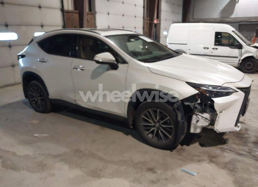 2024 Lexus Nx 350 (VIN 2T2AGCEZ0RC034530) main photo