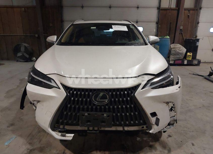 Photo 12 of 2024 Lexus Nx 350 (VIN 2T2AGCEZ0RC034530)