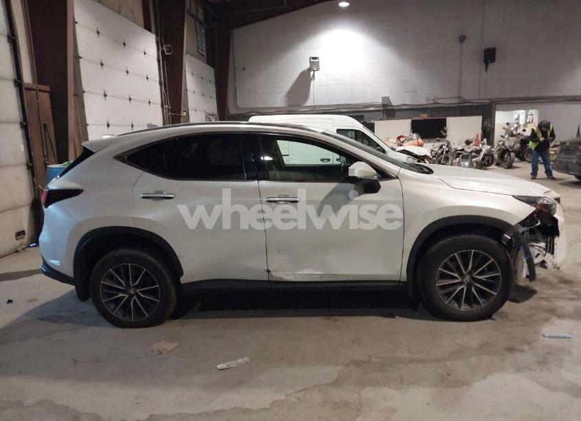 Photo 13 of 2024 Lexus Nx 350 (VIN 2T2AGCEZ0RC034530)