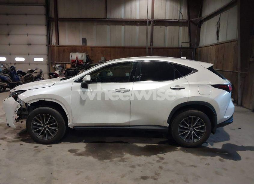 Photo 14 of 2024 Lexus Nx 350 (VIN 2T2AGCEZ0RC034530)