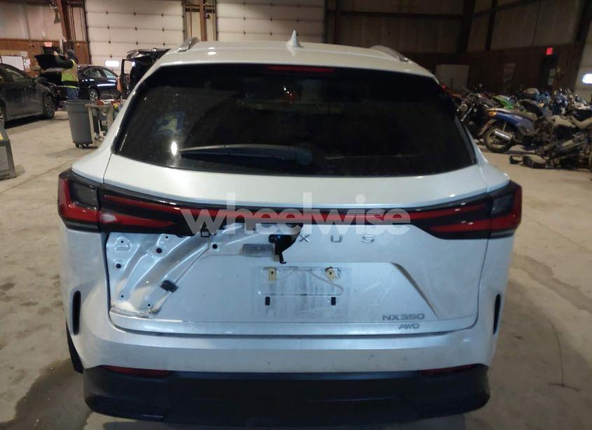 Photo 16 of 2024 Lexus Nx 350 (VIN 2T2AGCEZ0RC034530)