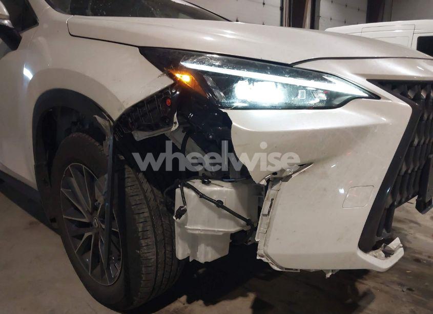 Photo 17 of 2024 Lexus Nx 350 (VIN 2T2AGCEZ0RC034530)