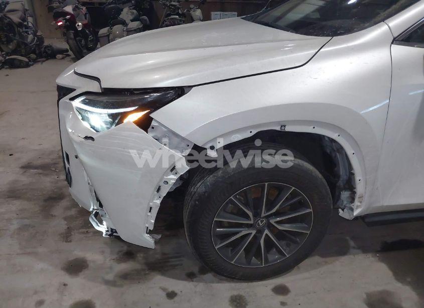 Photo 19 of 2024 Lexus Nx 350 (VIN 2T2AGCEZ0RC034530)