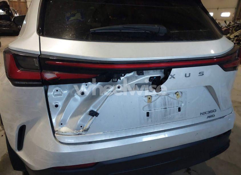 Photo 21 of 2024 Lexus Nx 350 (VIN 2T2AGCEZ0RC034530)