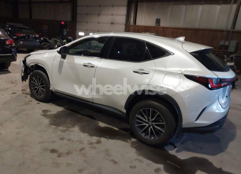 Photo 3 of 2024 Lexus Nx 350 (VIN 2T2AGCEZ0RC034530)