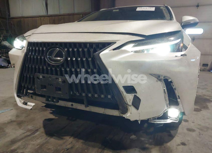 Photo 6 of 2024 Lexus Nx 350 (VIN 2T2AGCEZ0RC034530)