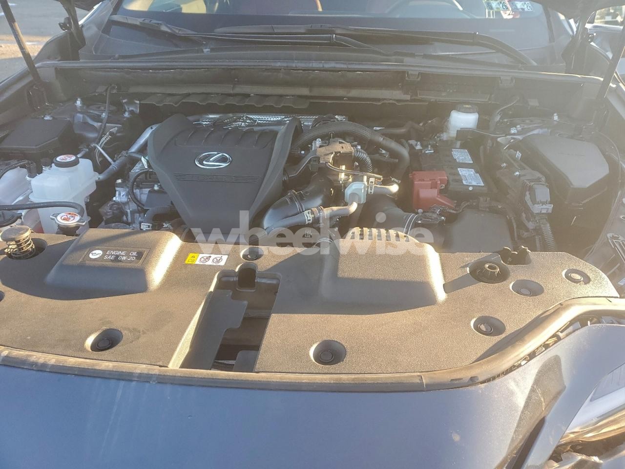 Photo 12 of 2025 LEXUS NX 350 BASE (VIN 2T2AGCEZ4SC081601)