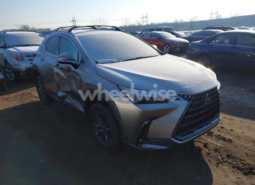 2024 Lexus Nx 350 (VIN 2T2AGCEZ7RC039708) main photo