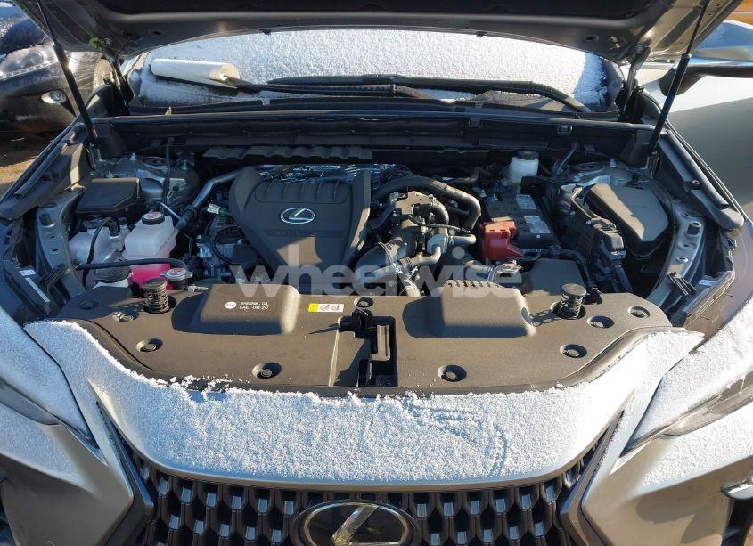 Photo 10 of 2024 Lexus Nx 350 (VIN 2T2AGCEZ7RC039708)