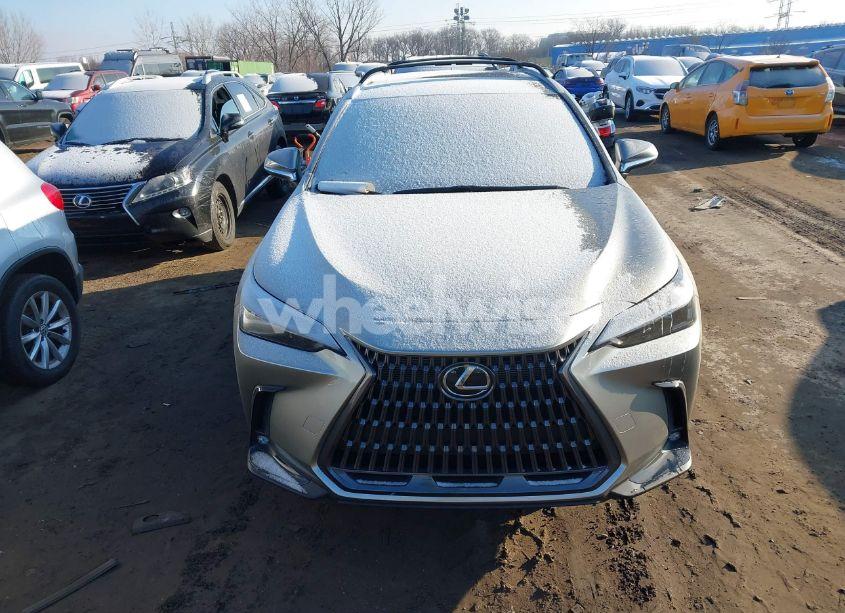 Photo 12 of 2024 Lexus Nx 350 (VIN 2T2AGCEZ7RC039708)