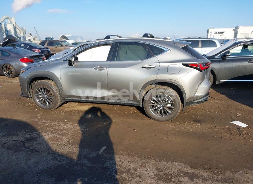 Photo 14 of 2024 Lexus Nx 350 (VIN 2T2AGCEZ7RC039708)