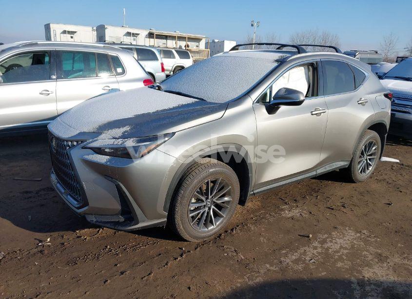 Photo 2 of 2024 Lexus Nx 350 (VIN 2T2AGCEZ7RC039708)