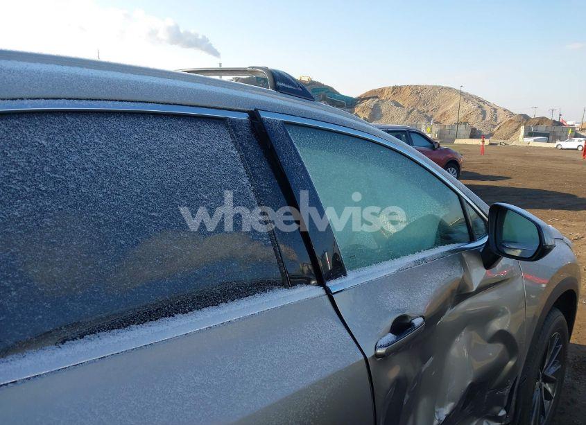 Photo 20 of 2024 Lexus Nx 350 (VIN 2T2AGCEZ7RC039708)