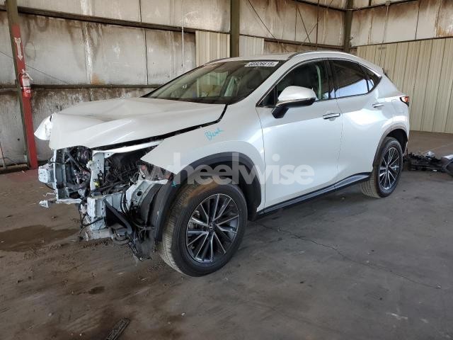 Photo 3 of 2024 LEXUS NX 350H BASE N/A (VIN 2T2AKCEZ4RC018779)