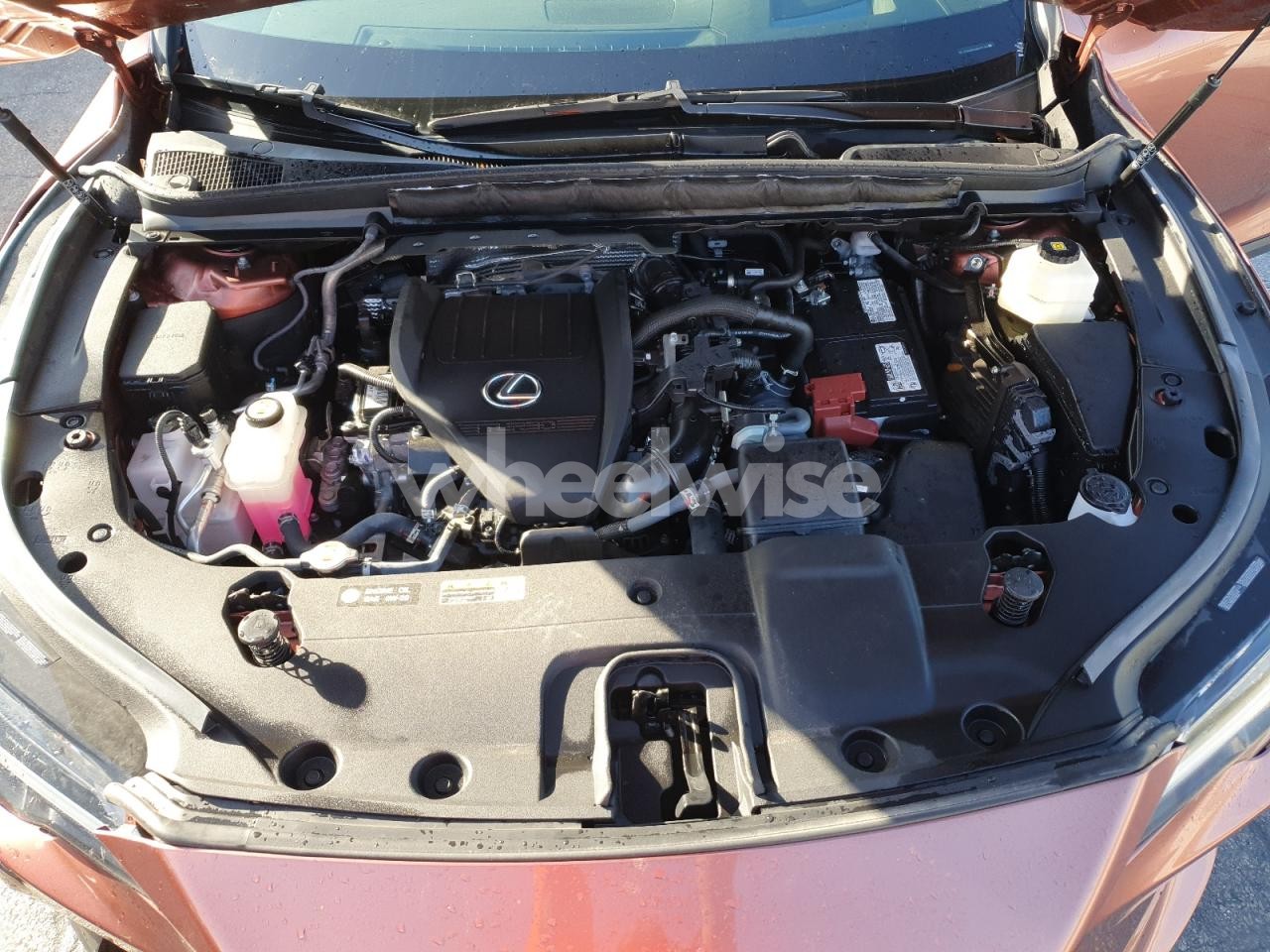 Photo 12 of 2024 LEXUS RX 350 BASE (VIN 2T2BAMBA9RC027165)