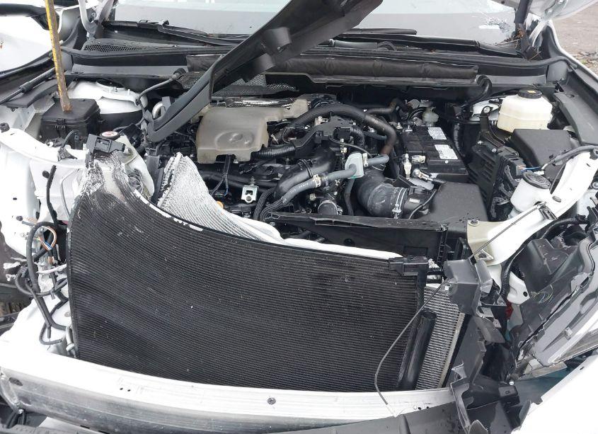 Photo 10 of 2024 Lexus Rx 350 PREMIUM (VIN 2T2BAMCA0RC063129)