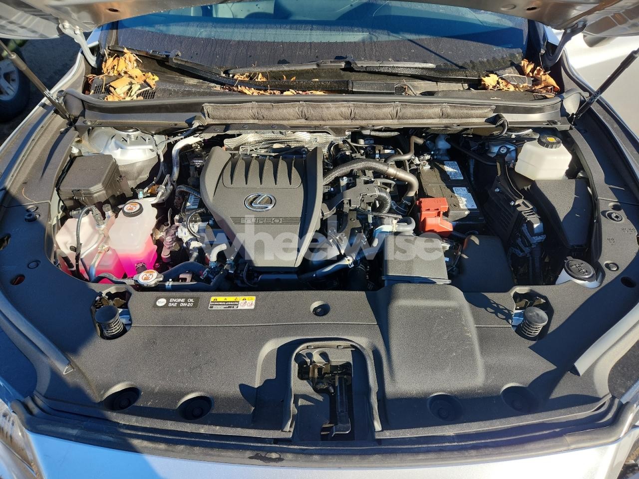 Photo 11 of 2025 LEXUS RX 350 BASE N/A (VIN 2T2BAMCA4SC108658)