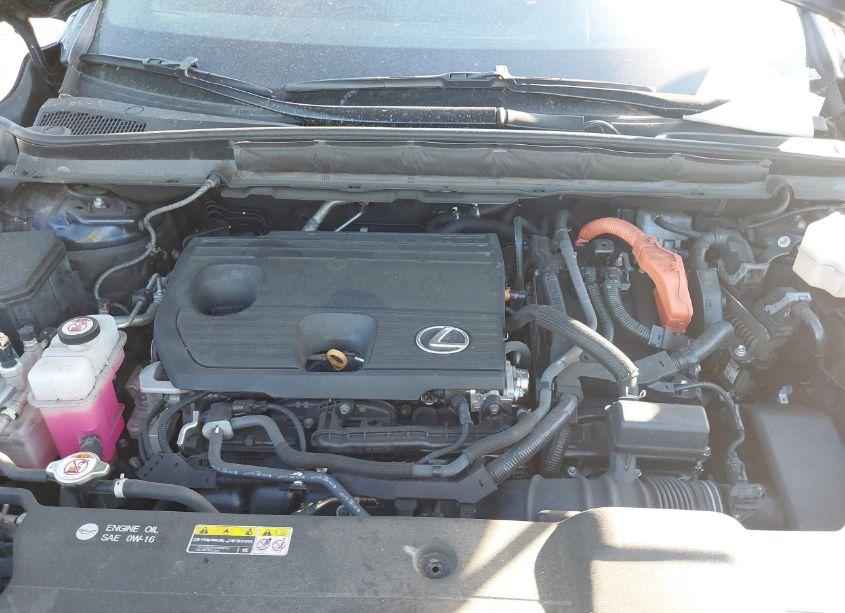 Photo 10 of 2023 Lexus Rx 350H LUXURY (VIN 2T2BBMCA8PC003724)