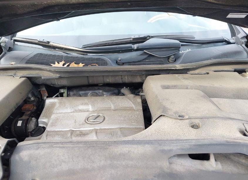 Photo 10 of 2010 Lexus Rx 350 (VIN 2T2BK1BA8AC011491)