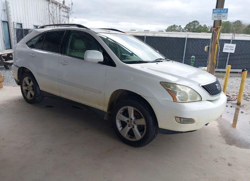 2004 Lexus Rx 330 (VIN 2T2GA31U74C017769) main photo