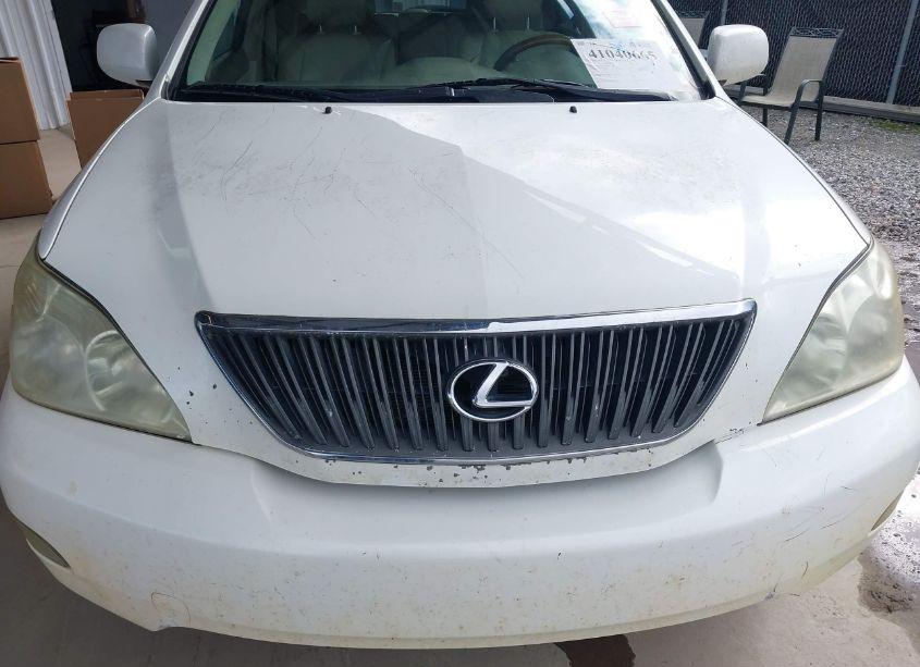 Photo 12 of 2004 Lexus Rx 330 (VIN 2T2GA31U74C017769)
