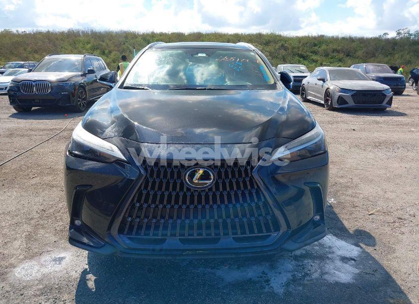 Photo 12 of 2023 Lexus Nx 250 PREMIUM (VIN 2T2GDCAZ0PC003803)
