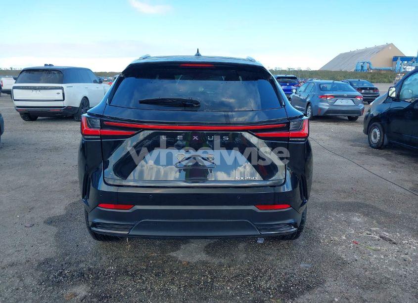Photo 16 of 2023 Lexus Nx 250 PREMIUM (VIN 2T2GDCAZ0PC003803)