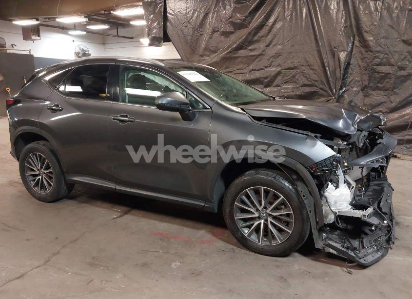 2023 Lexus Nx 250 PREMIUM (VIN 2T2GDCAZ0PC004515) main photo