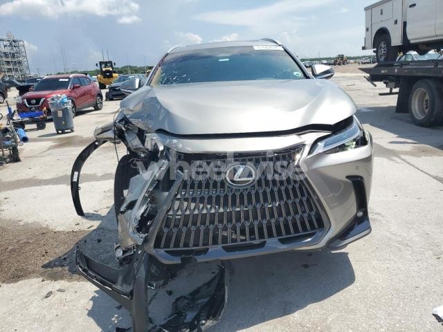 Photo 7 of 2025 LEXUS NX 250 PREMIUM N/A (VIN 2T2GDCAZ3SC022077)
