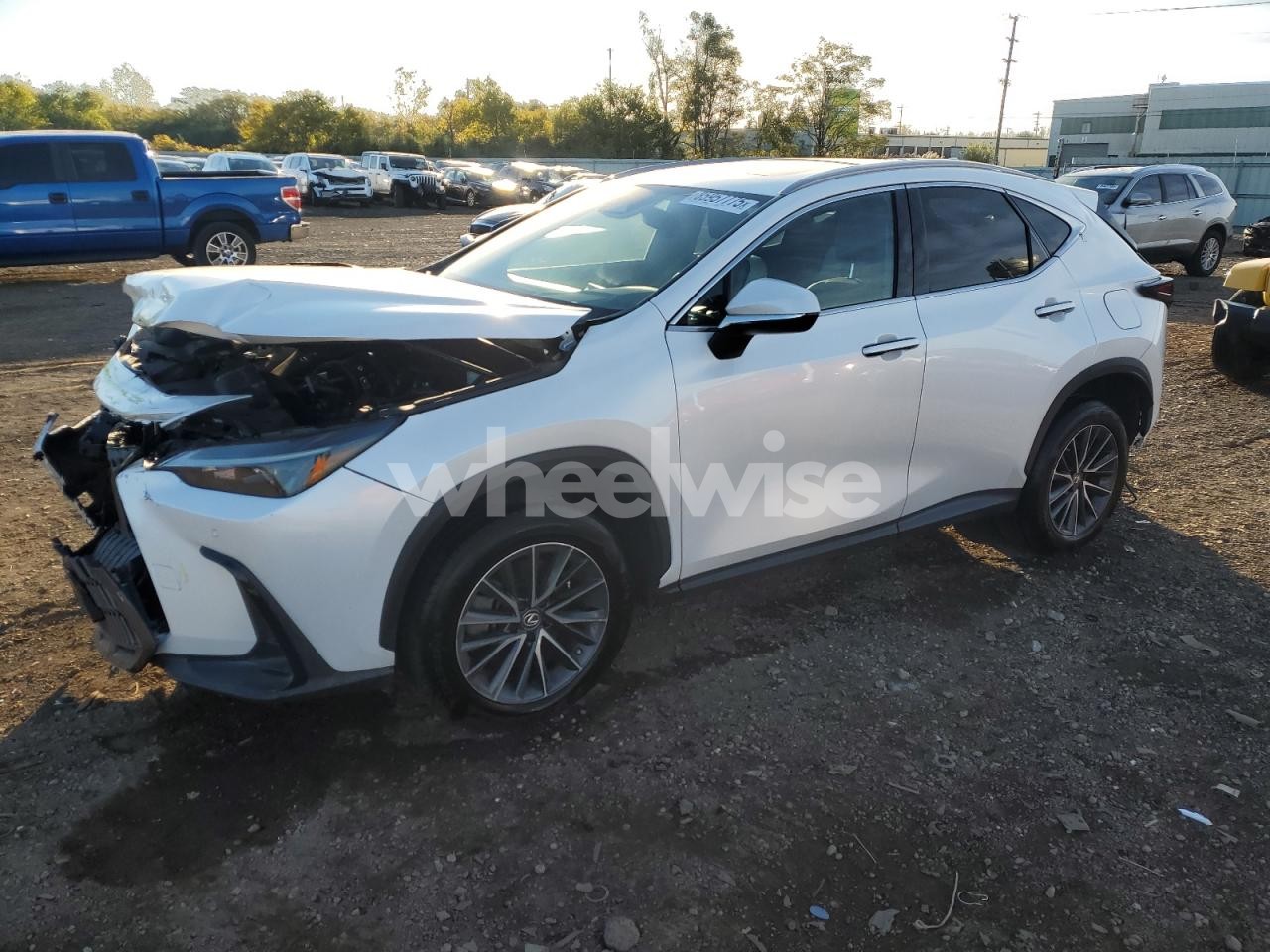2022 LEXUS NX 350 (VIN 2T2GGCEZ0NC002259) main photo