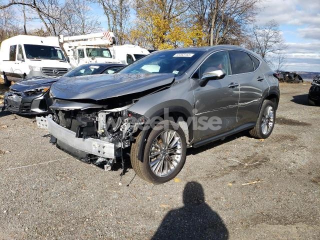2025 LEXUS NX 350 PREMIUM N/A (VIN 2T2GGCEZ0SC079015) main photo